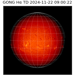 gong - 2024-11-22T09:00:22