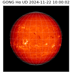 gong - 2024-11-22T10:00:02