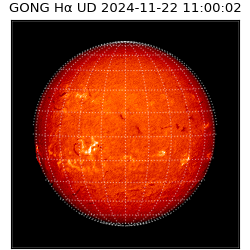 gong - 2024-11-22T11:00:02