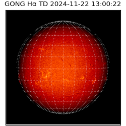gong - 2024-11-22T13:00:22