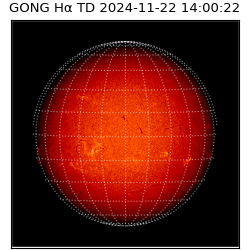 gong - 2024-11-22T14:00:22