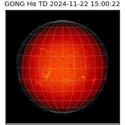 gong - 2024-11-22T15:00:22
