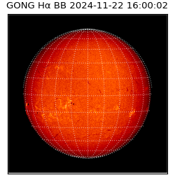 gong - 2024-11-22T16:00:02