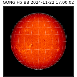 gong - 2024-11-22T17:00:02