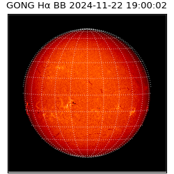 gong - 2024-11-22T19:00:02