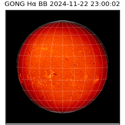 gong - 2024-11-22T23:00:02