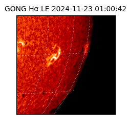 gong - 2024-11-23T01:00:42