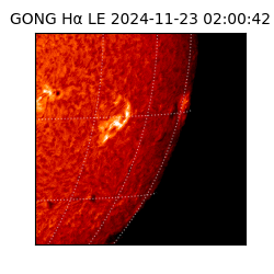 gong - 2024-11-23T02:00:42