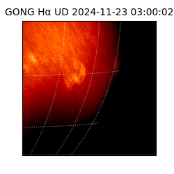 gong - 2024-11-23T03:00:02