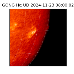gong - 2024-11-23T08:00:02