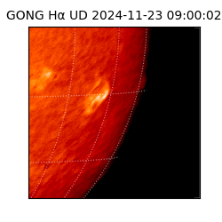 gong - 2024-11-23T09:00:02