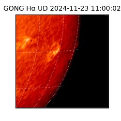 gong - 2024-11-23T11:00:02