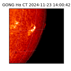 gong - 2024-11-23T14:00:42