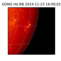 gong - 2024-11-23T16:00:02