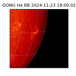 gong - 2024-11-23T18:00:02