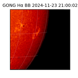gong - 2024-11-23T21:00:02