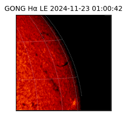 gong - 2024-11-23T01:00:42