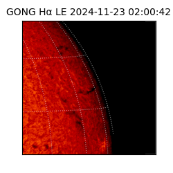gong - 2024-11-23T02:00:42