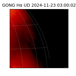 gong - 2024-11-23T03:00:02