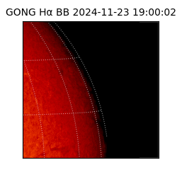 gong - 2024-11-23T19:00:02