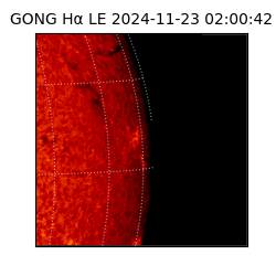 gong - 2024-11-23T02:00:42