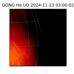 gong - 2024-11-23T03:00:02