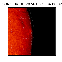gong - 2024-11-23T04:00:02