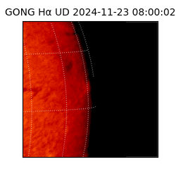 gong - 2024-11-23T08:00:02