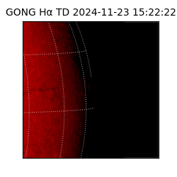 gong - 2024-11-23T15:22:22
