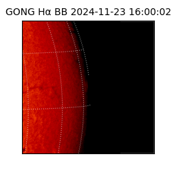 gong - 2024-11-23T16:00:02