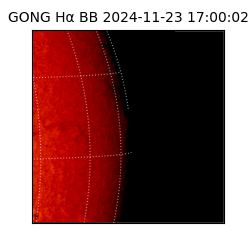 gong - 2024-11-23T17:00:02