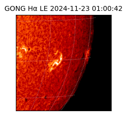 gong - 2024-11-23T01:00:42