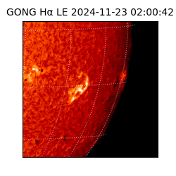 gong - 2024-11-23T02:00:42