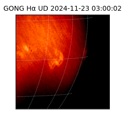 gong - 2024-11-23T03:00:02