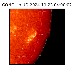 gong - 2024-11-23T04:00:02