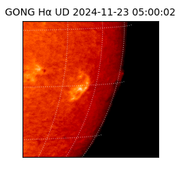 gong - 2024-11-23T05:00:02