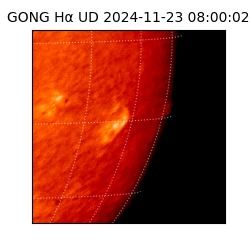 gong - 2024-11-23T08:00:02