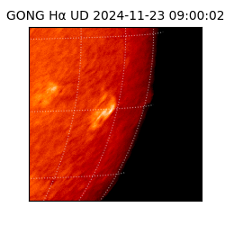 gong - 2024-11-23T09:00:02