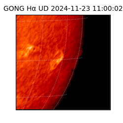 gong - 2024-11-23T11:00:02