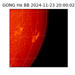 gong - 2024-11-23T20:00:02