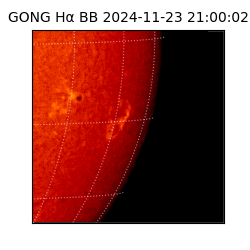 gong - 2024-11-23T21:00:02
