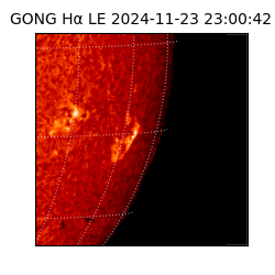 gong - 2024-11-23T23:00:42