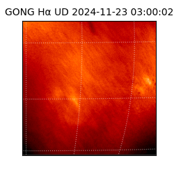 gong - 2024-11-23T03:00:02