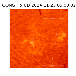 gong - 2024-11-23T05:00:02