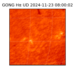 gong - 2024-11-23T08:00:02