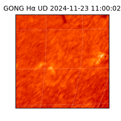 gong - 2024-11-23T11:00:02