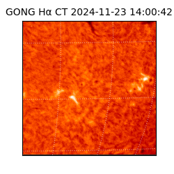 gong - 2024-11-23T14:00:42