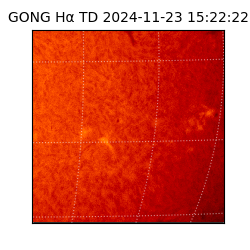 gong - 2024-11-23T15:22:22