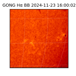 gong - 2024-11-23T16:00:02
