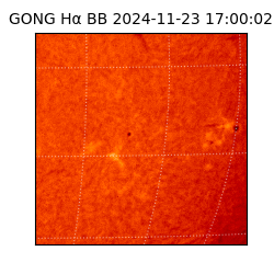 gong - 2024-11-23T17:00:02